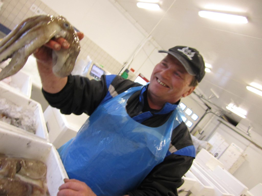 Nordhordland Fisk