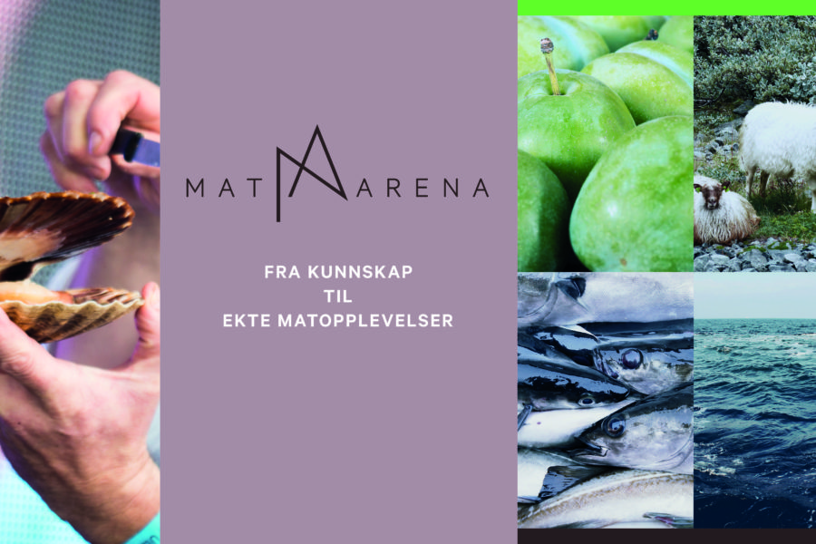 Spennende prosjektleder stilling i Matarena